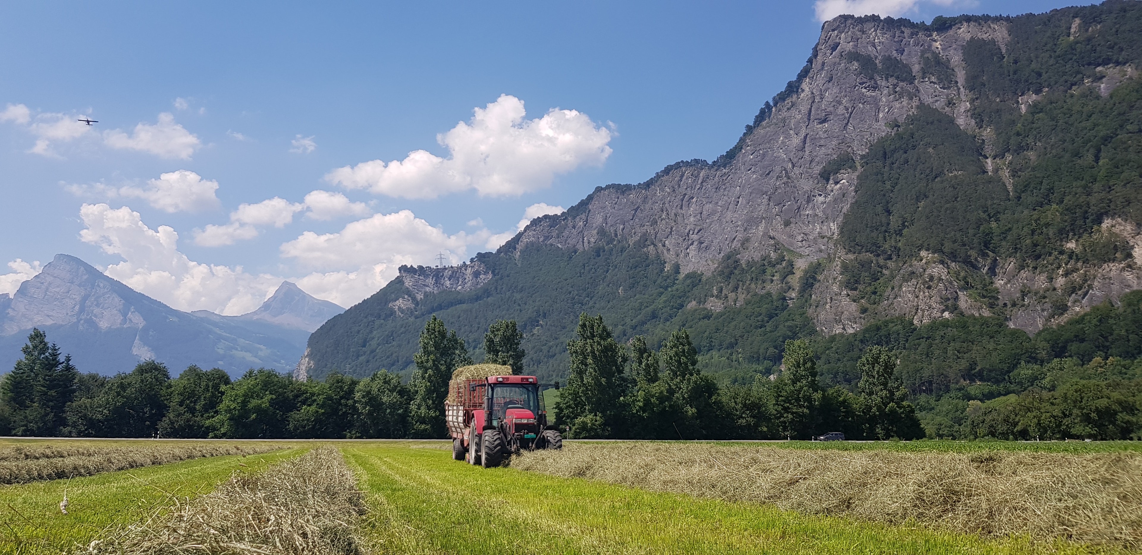 Hof Familie Gabathuler - Blick über die Felder in Fläsch