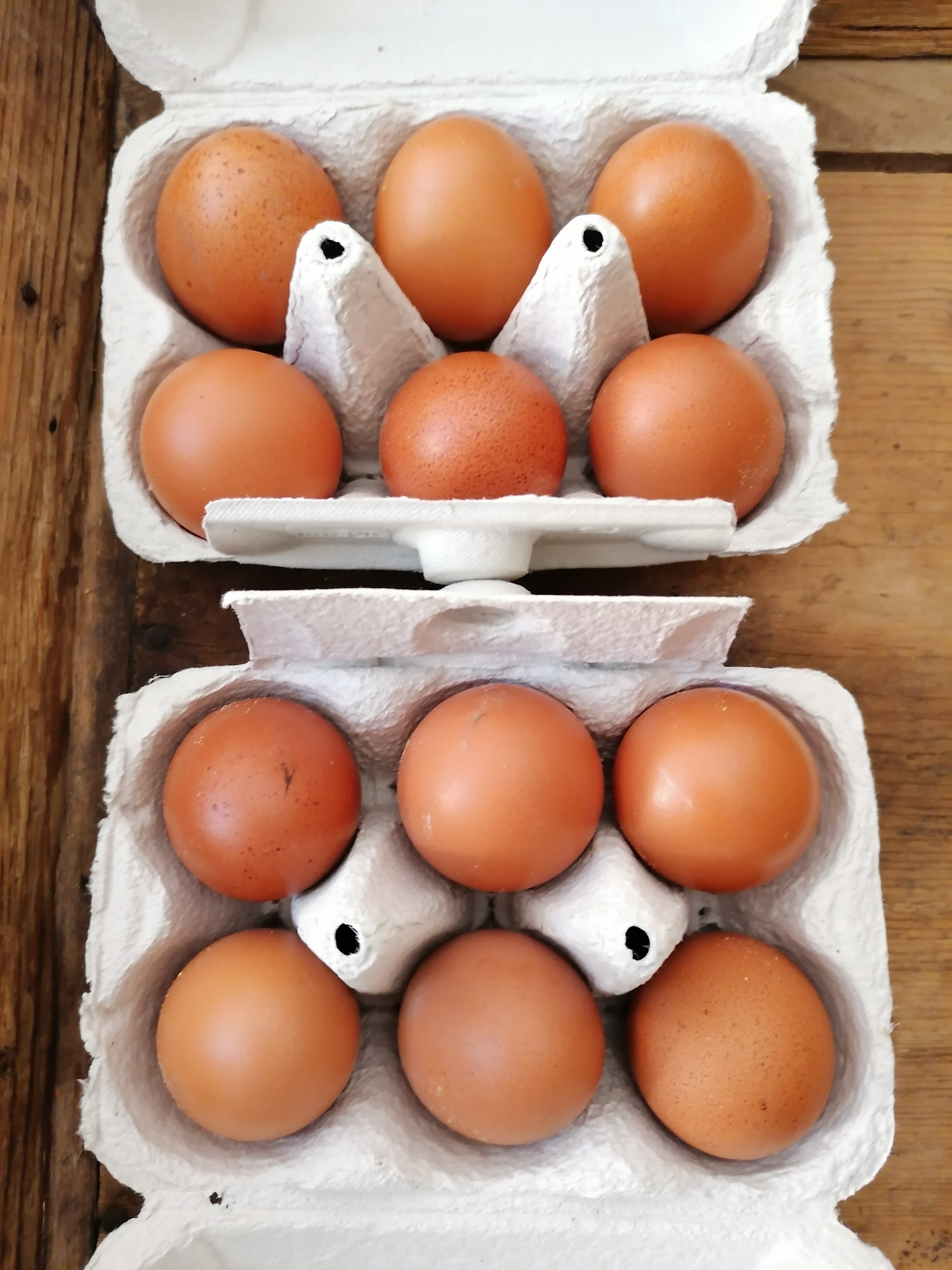 Frische Eier vom Hof